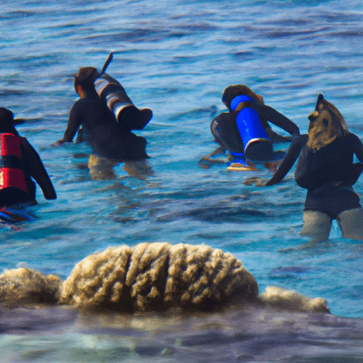 קבוצת חברים חוקרת בנפלאות התת-ימיות של שמורת חוף האלמוגים באילת