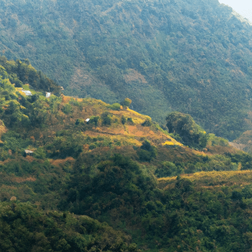נוף פנורמי של הנופים המוריקים ושדות האורז המדורגים בווייטנאם
